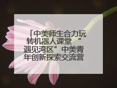中美师生合力玩转机器人课堂 “遇见湾区”中美青年创新探索交流营在深圳开营