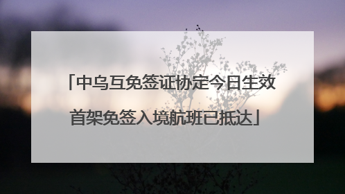 中乌互免签证协定今日生效 首架免签入境航班已抵达