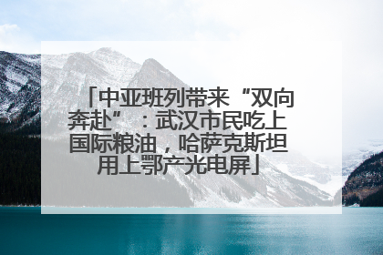 中亚班列带来“双向奔赴”：武汉市民吃上国际粮油，哈萨克斯坦用上鄂产光电屏