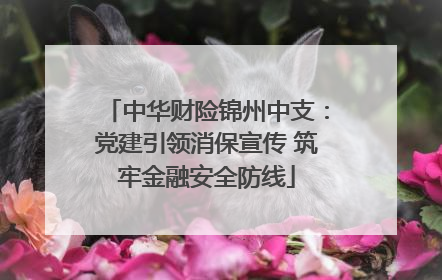 中华财险锦州中支：党建引领消保宣传 筑牢金融安全防线