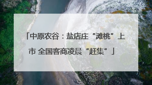 中原农谷：盐店庄“滩桃”上市 全国客商凌晨“赶集”