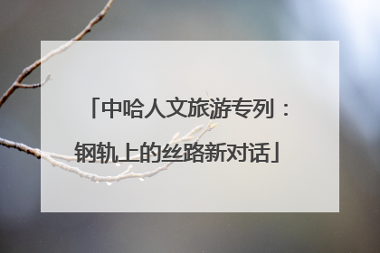 中哈人文旅游专列：钢轨上的丝路新对话