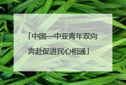 中国—中亚青年双向奔赴促进民心相通
