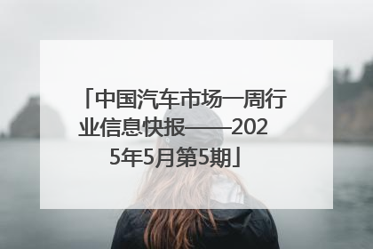 中国汽车市场一周行业信息快报——2025年5月第5期