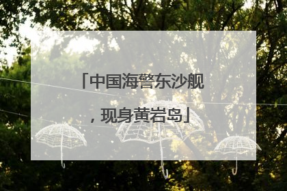 中国海警东沙舰，现身黄岩岛
