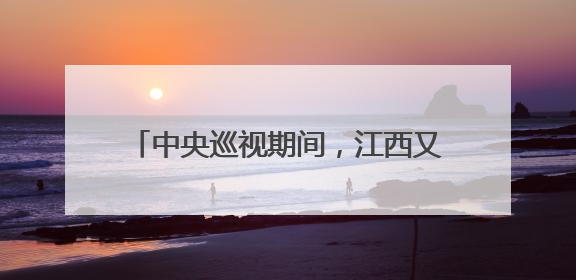 中央巡视期间，江西又一官员主动交代问题