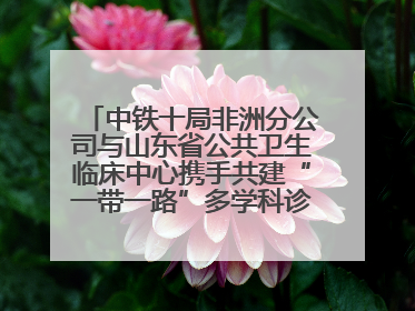 中铁十局非洲分公司与山东省公共卫生临床中心携手共建“一带一路”多学科诊疗协作网