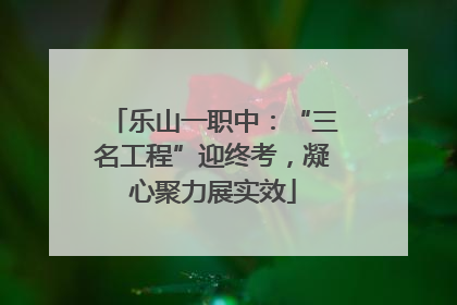 乐山一职中：“三名工程”迎终考，凝心聚力展实效