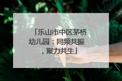 乐山市中区茅桥幼儿园：同频共振，聚力共生