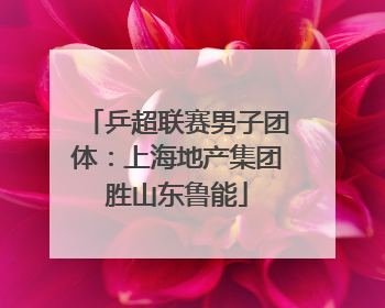 乒超联赛男子团体：上海地产集团胜山东鲁能