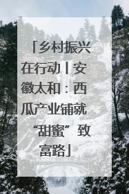 乡村振兴在行动丨安徽太和：西瓜产业铺就“甜蜜”致富路
