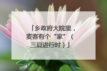 乡政府大院里，麦客有个“家”（三夏进行时）