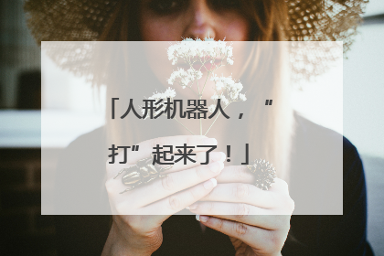 人形机器人，“打”起来了！