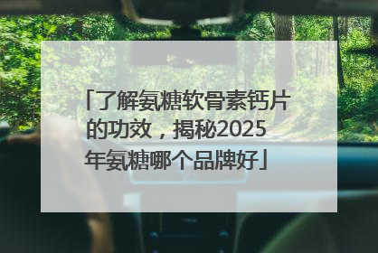 了解氨糖软骨素钙片的功效，揭秘2025年氨糖哪个品牌好