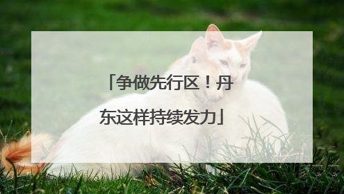 争做先行区！丹东这样持续发力