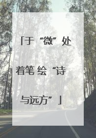 于“微”处着笔 绘“诗与远方”