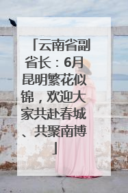 云南省副省长：6月昆明繁花似锦，欢迎大家共赴春城、共聚南博