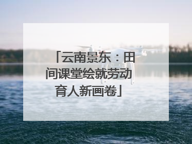 云南景东：田间课堂绘就劳动育人新画卷