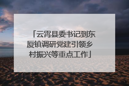 云霄县委书记到东厦镇调研党建引领乡村振兴等重点工作