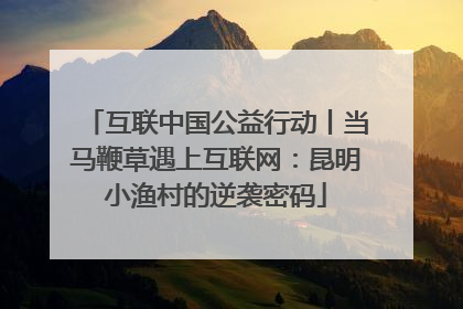 互联中国公益行动丨当马鞭草遇上互联网：昆明小渔村的逆袭密码