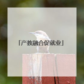 产教融合促就业