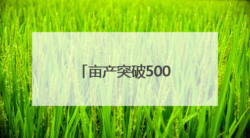 亩产突破500斤！安化小花生种出亿元大产业