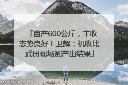 亩产600公斤，丰收态势良好！卫辉：机收比武田现场测产出结果