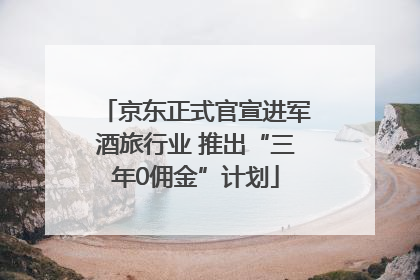 京东正式官宣进军酒旅行业 推出“三年0佣金”计划