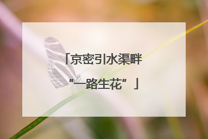 京密引水渠畔“一路生花”