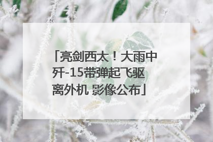亮剑西太！大雨中歼-15带弹起飞驱离外机 影像公布