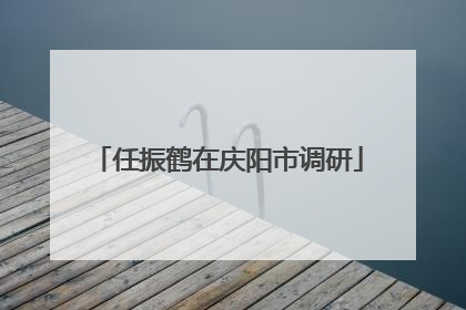 任振鹤在庆阳市调研