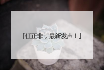 任正非，最新发声！