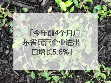 今年前4个月广东省民营企业进出口增长5.6%