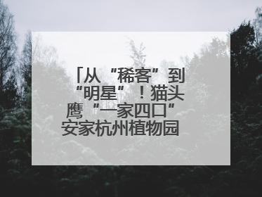 从“稀客”到“明星”！猫头鹰“一家四口”安家杭州植物园背后的守护