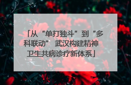 从“单打独斗”到“多科联动” 武汉构建精神卫生共病诊疗新体系