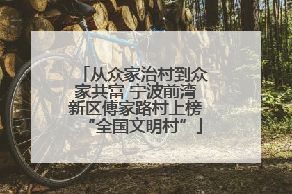 从众家治村到众家共富 宁波前湾新区傅家路村上榜“全国文明村”