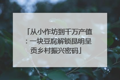 从小作坊到千万产值：一块豆腐解锁昆明呈贡乡村振兴密码