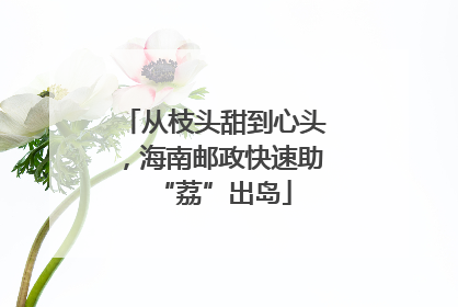 从枝头甜到心头，海南邮政快速助“荔”出岛