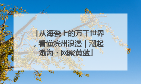从海瓷上的万千世界，看懂滨州浪漫｜潮起渤海・网聚黄蓝