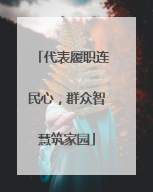 代表履职连民心，群众智慧筑家园