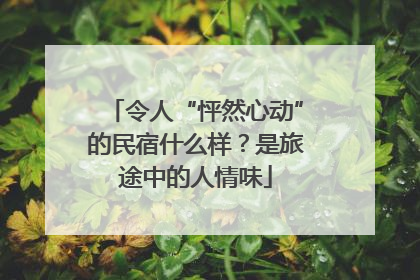 令人“怦然心动”的民宿什么样？是旅途中的人情味
