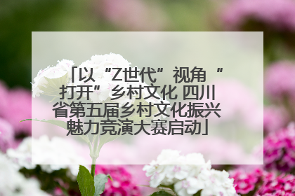 以“Z世代”视角“打开”乡村文化 四川省第五届乡村文化振兴魅力竞演大赛启动