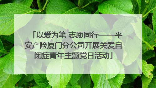 以爱为笔 志愿同行——平安产险厦门分公司开展关爱自闭症青年主题党日活动