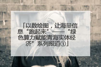 以数绘图，让海量信息“跑起来”——“绿色算力赋能青海实体经济”系列报道①