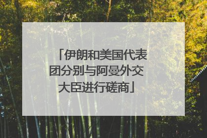伊朗和美国代表团分别与阿曼外交大臣进行磋商