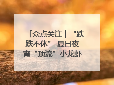 众点关注｜“跌跌不休” 夏日夜宵“顶流”小龙虾价格腰斩 东营人的快乐来了