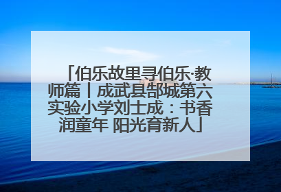 伯乐故里寻伯乐·教师篇丨成武县郜城第六实验小学刘士成：书香润童年 阳光育新人