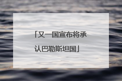 又一国宣布将承认巴勒斯坦国