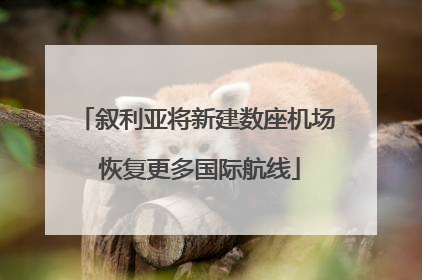 叙利亚将新建数座机场 恢复更多国际航线