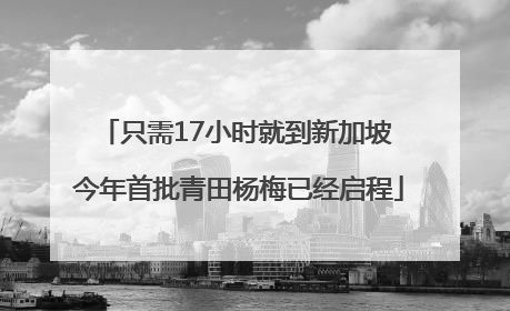 只需17小时就到新加坡 今年首批青田杨梅已经启程